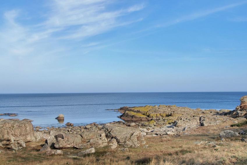 "Can" - 300m from the sea in Bornholm - foto 23