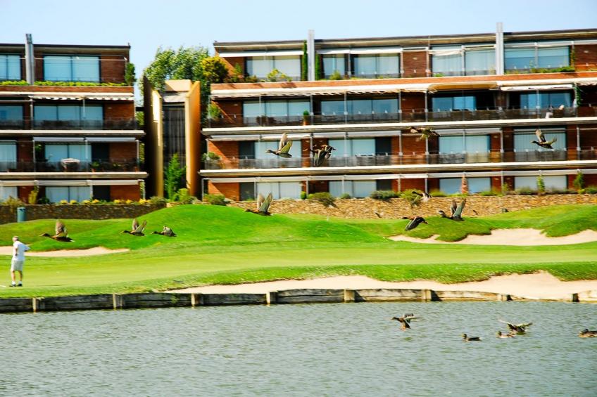 RESID.GOLF EST. 4 1-2 - foto 24