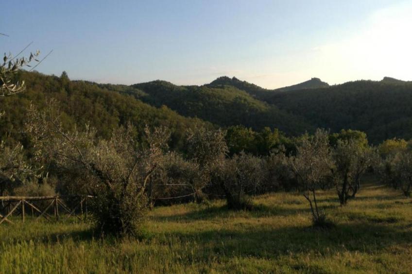 Il Solatio apt PT - foto 35