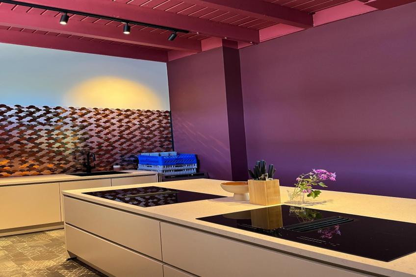 Groepsaccommodatie + 4 large greenhouses (36 personen) - foto 15