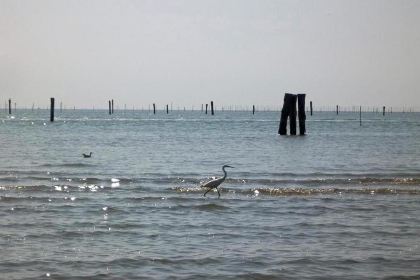 Oasi Bianca - foto 29