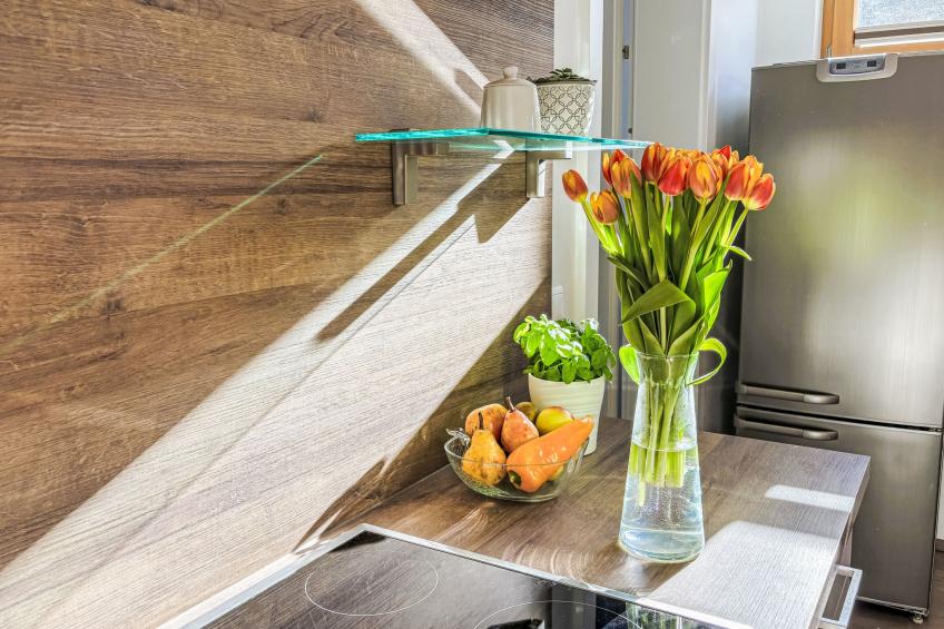 Pantera - SKI IN SKI OUT - foto 16