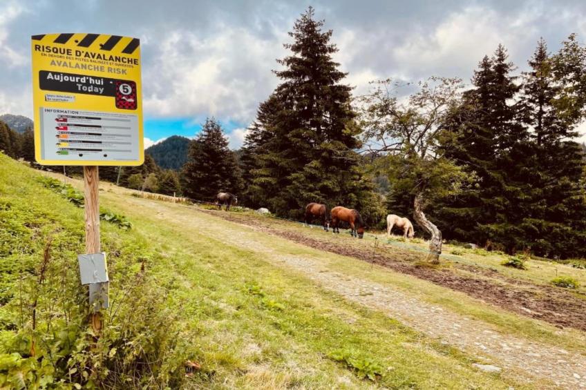 V du Bachat DROSERAS A N°16 - ST5 - foto 32