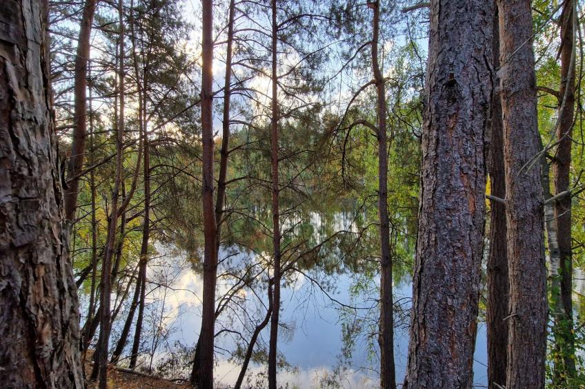 Superior Double Room - foto 34