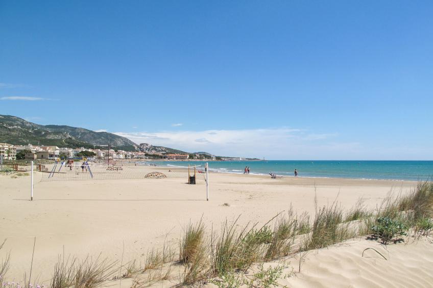 Palm Beach II - foto 28