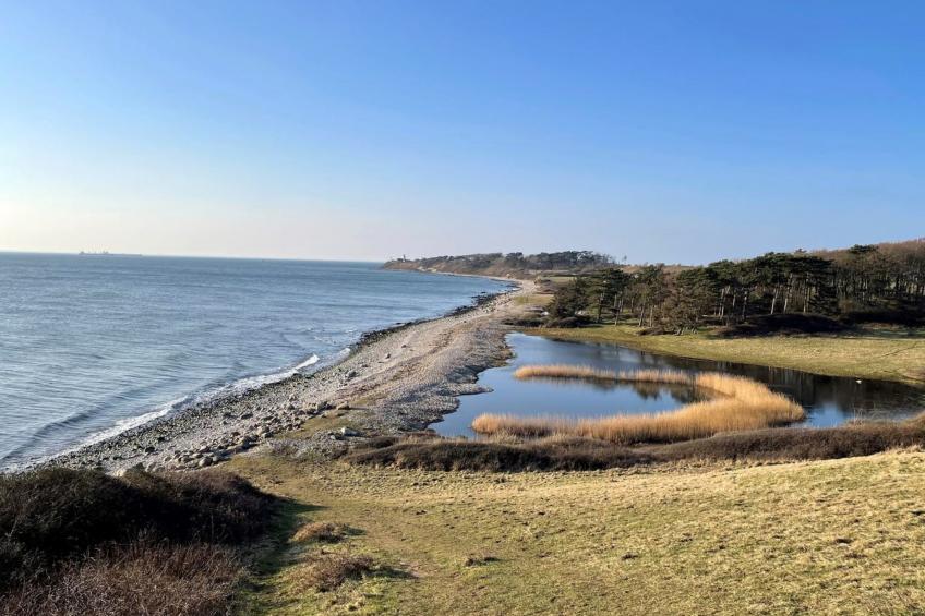 "Gjuro" - 800m from the sea - foto 4