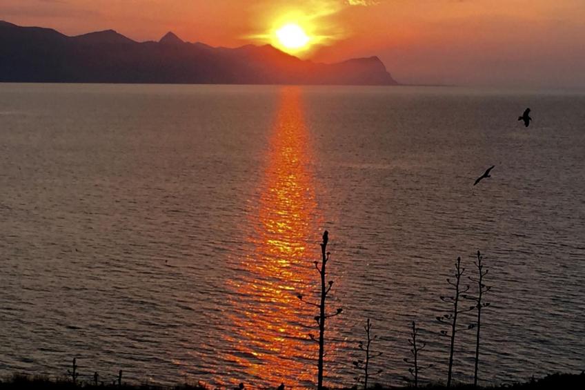 Lila Wohnung mit Schwimmbad und Meerblick - foto 4