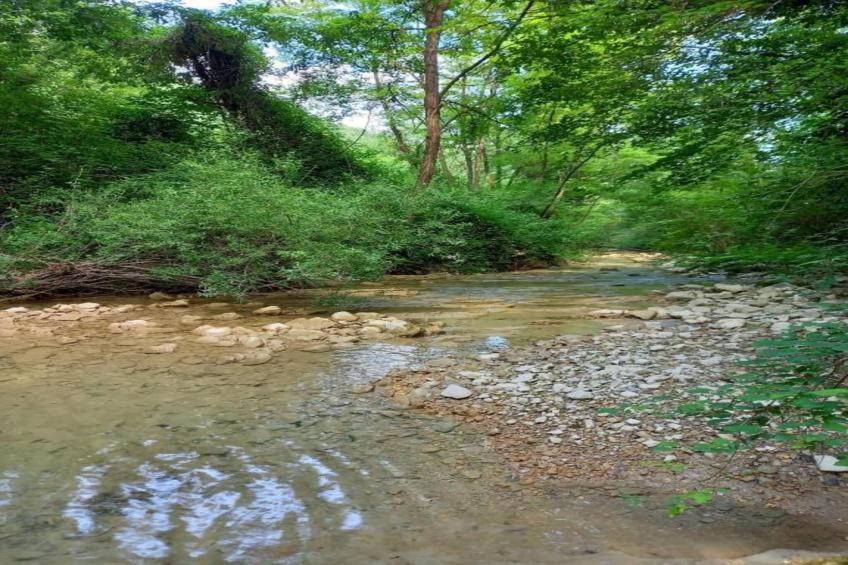 Villa Valtopina - foto 34