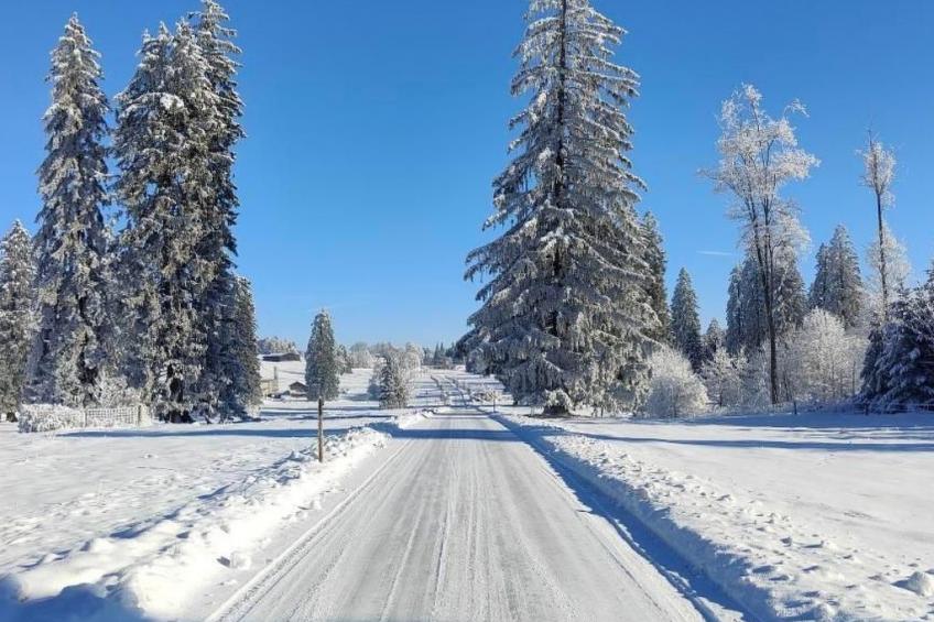 la ferme de la gaby - foto 14