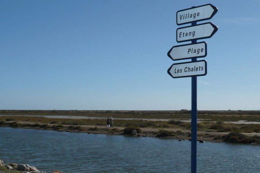 Les Amandines - foto 23