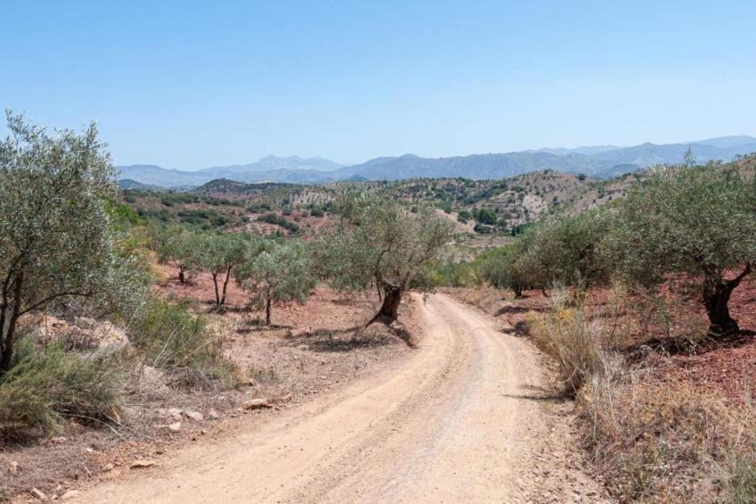 Casa el cielo - foto 33