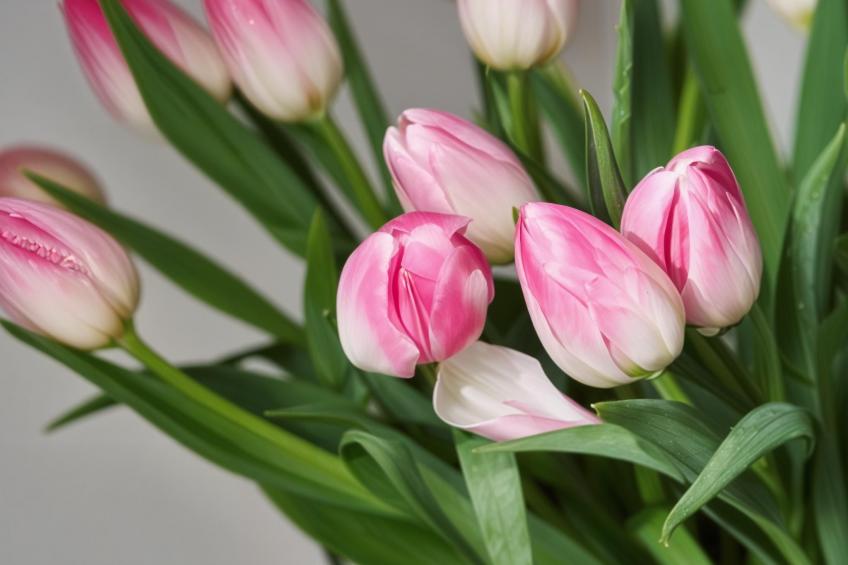 Studio "Fancy Brick 1" - foto 9