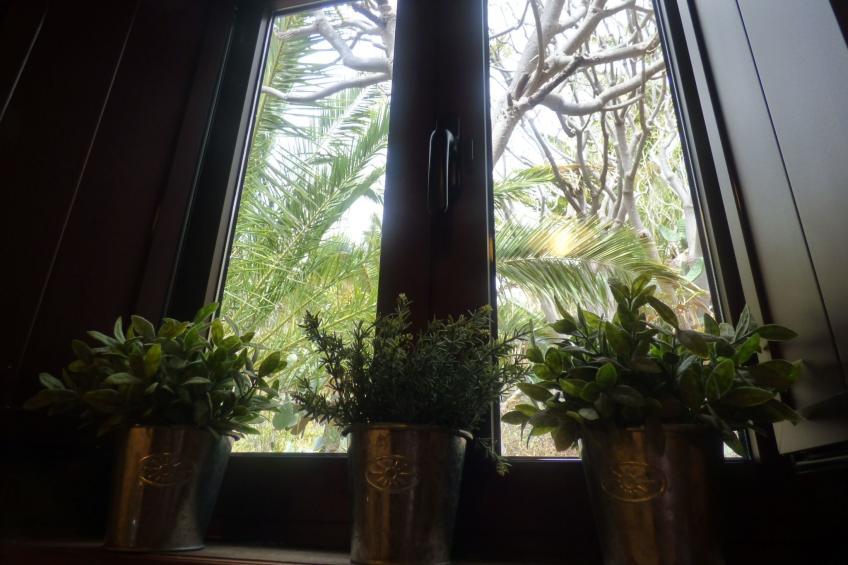 Finca mit Wasserblick - foto 21