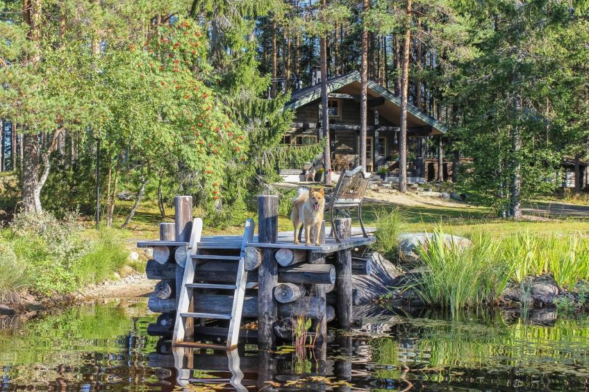 Hamppulahti - foto 2