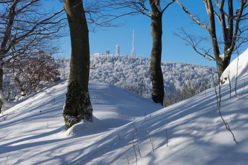 Sonnenschein - foto 36