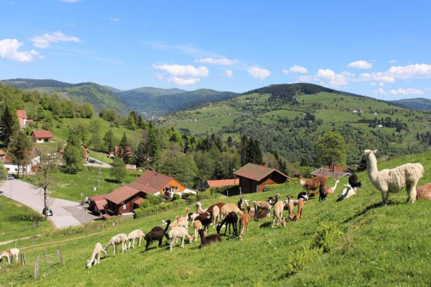 Maison de Vacances La Bresse 24