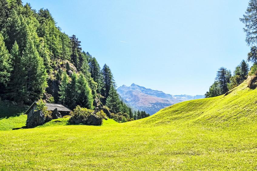 Gebhard Riml (SOE212) - foto 19