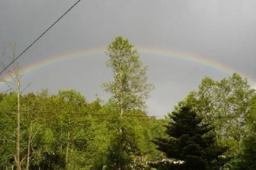 Marco in Eppenschlag - foto 29