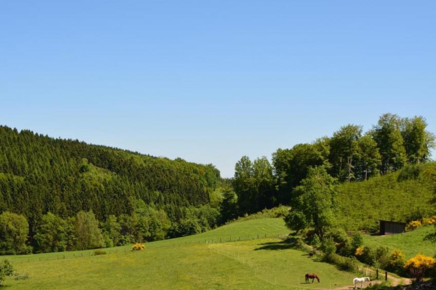 in Feldmannshof mit Grill und Garten - foto 39