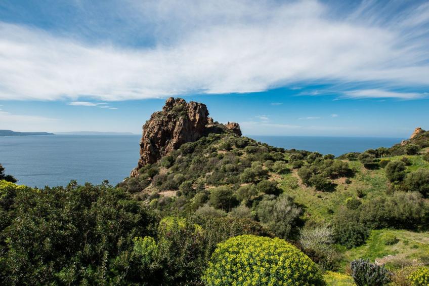 Villa Brezza Marina - Nebida - foto 18