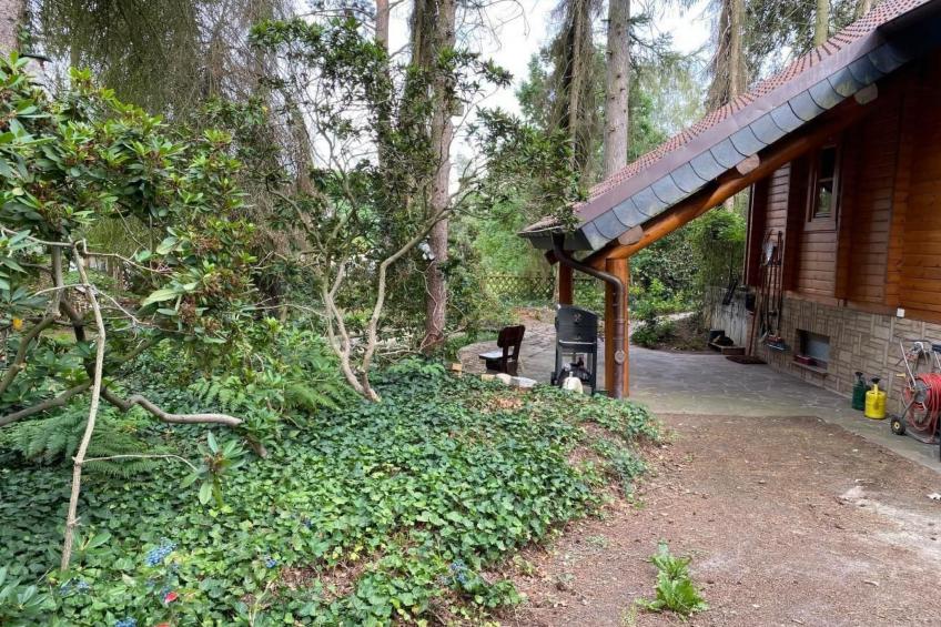 WaldhausEichhörnchen - foto 25