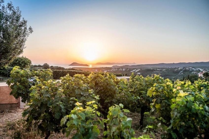 Thalassa Villa-Aether group villas - foto 18