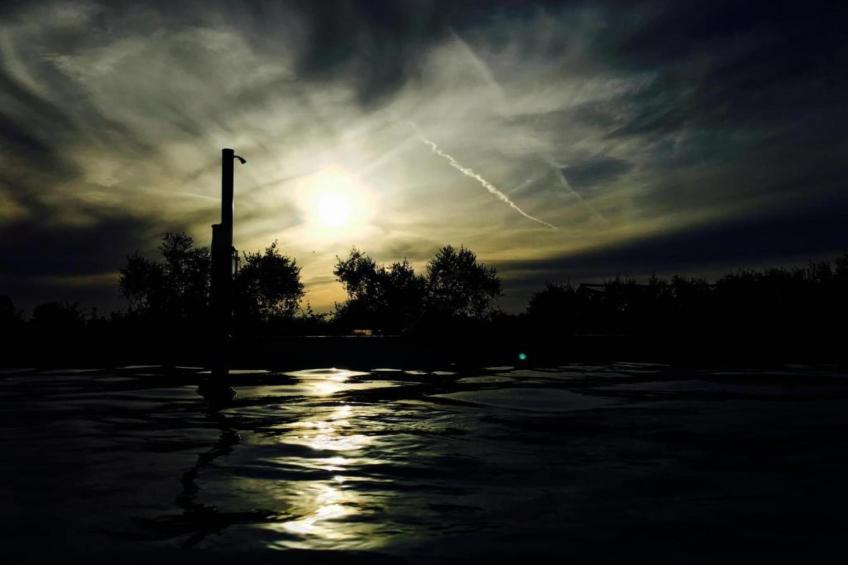 Castagneto1 - foto 28