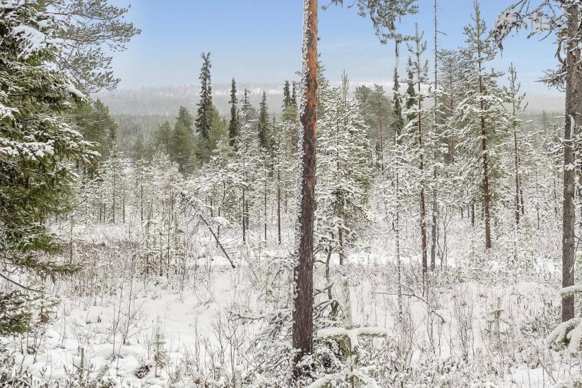 Teppolan rinne - foto 29