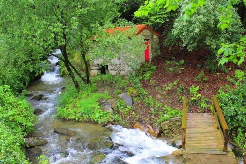 Ländliche Finca "Casa da Rocha" - foto 44
