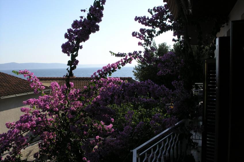 direkt am Strand - foto 30