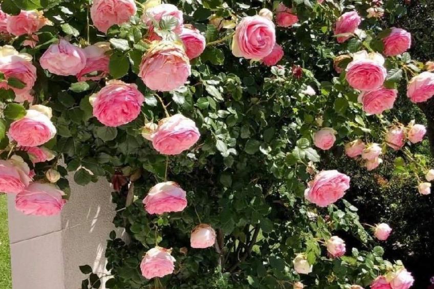 Côte d'Azur ganze Villa beheizter Pool Meerblick - foto 35