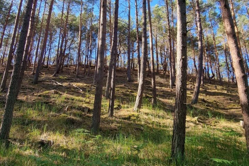 Lublewo21 Ferienhäuser - foto 48