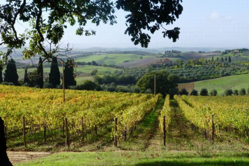 mit Privatpool für 14 Personen ca. 260 m² in Trequanda, Toskana (Provinz S - foto 10