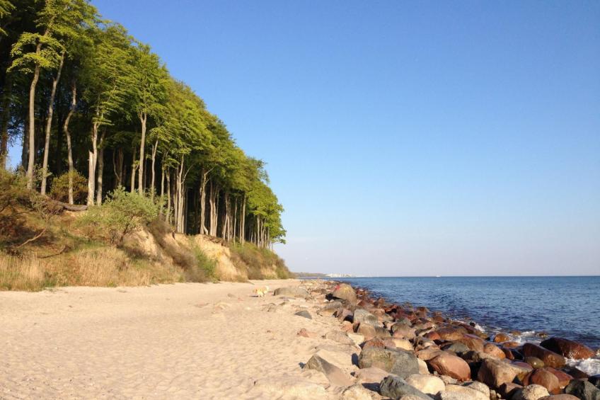 in Strandnähe - foto 25