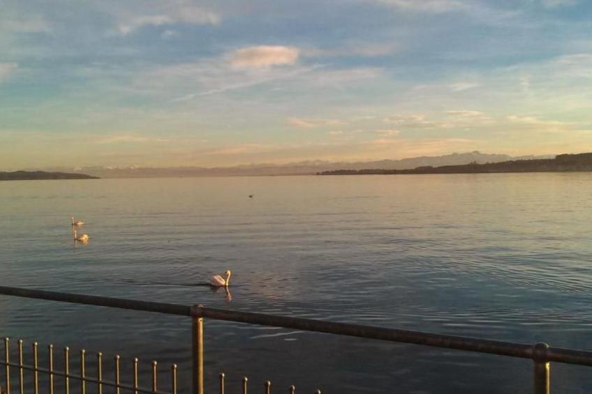 3-Zimmer-Fewo mit herrlichem Seeblick - foto 8