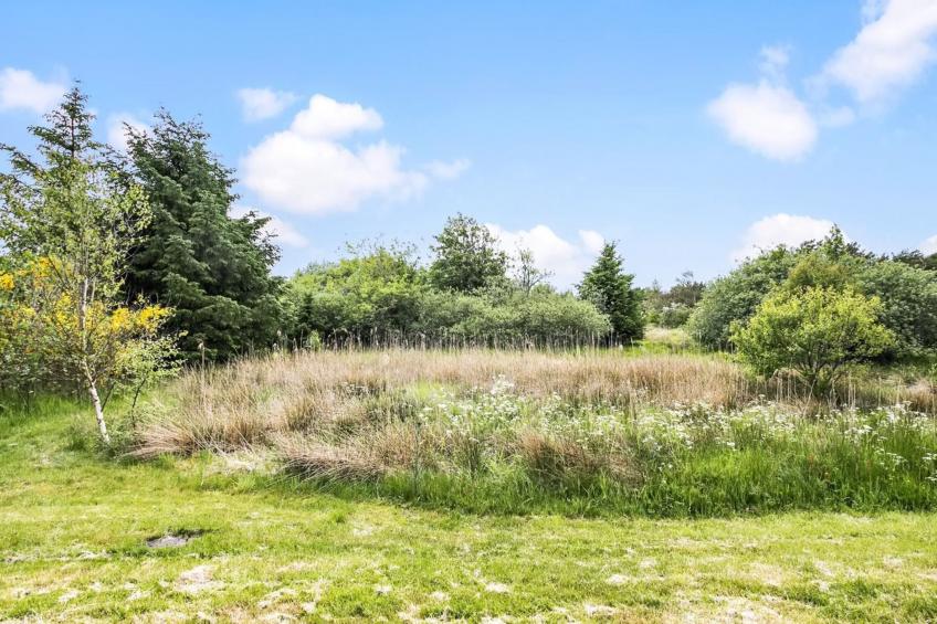 "Aameek" - 3km from the sea in NW Jutland - foto 7