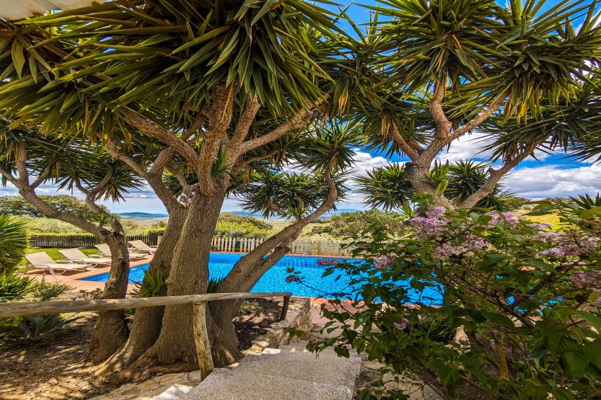 Finca las Chozas - foto 13