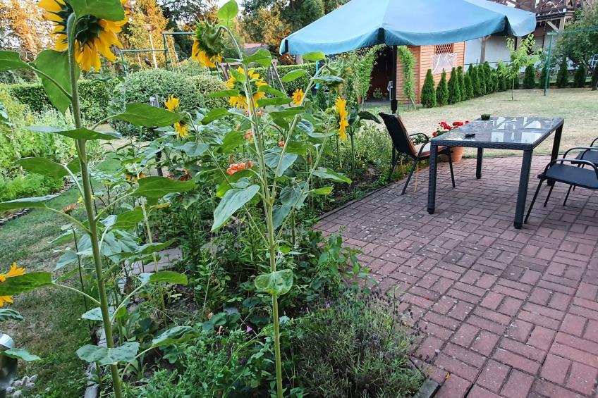 Gartenappartement an der polnischen Ostseeküste - foto 7