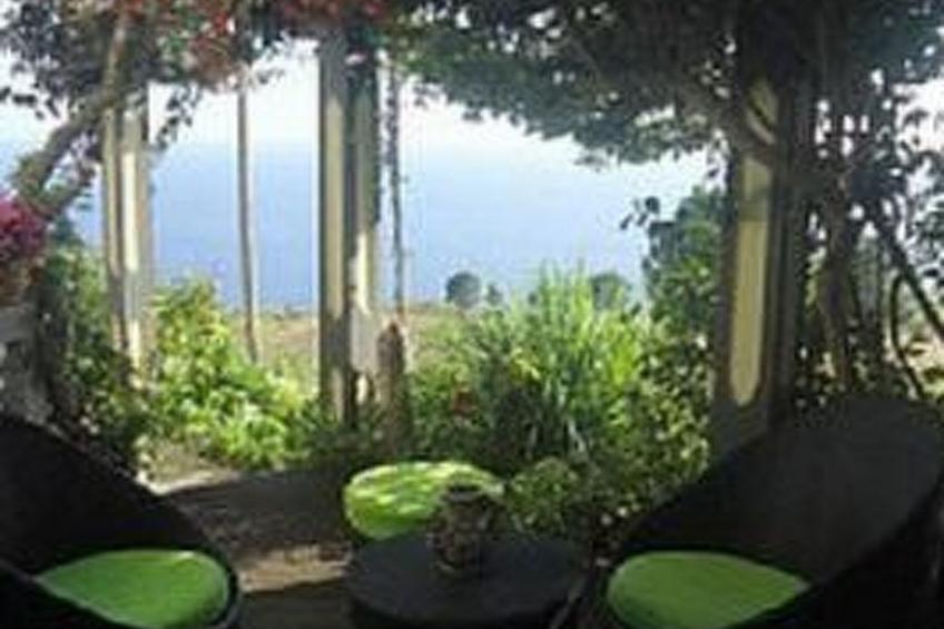 Schönes Ferienhaus in Prazeres - foto 11