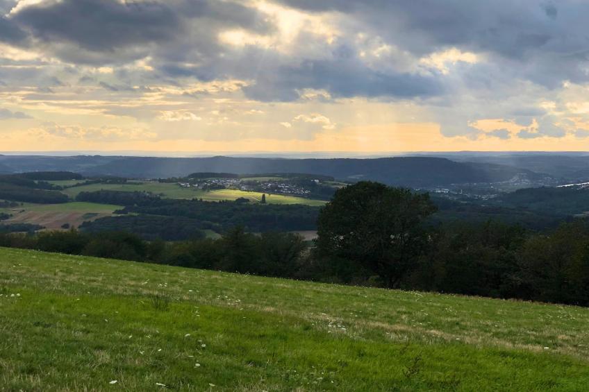 PH1 Ferienwohnung Standard Pellinger-Hof - foto 18