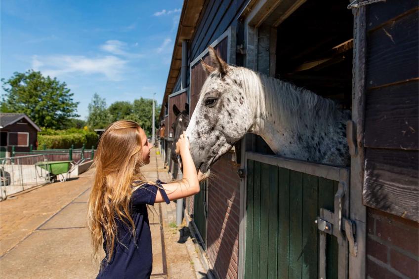 Lodge royal 4 people Wellness - foto 24