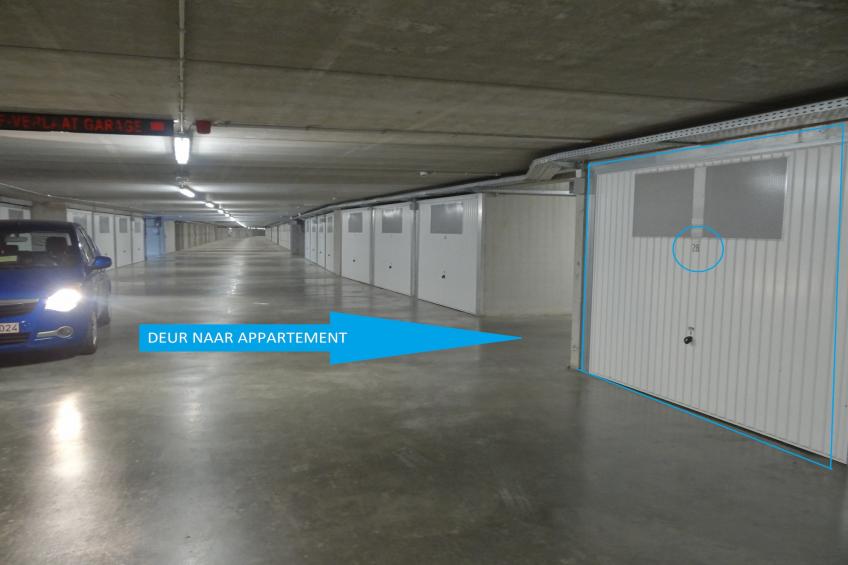 SOUTHAMPTON 17/0102GAR - foto 6