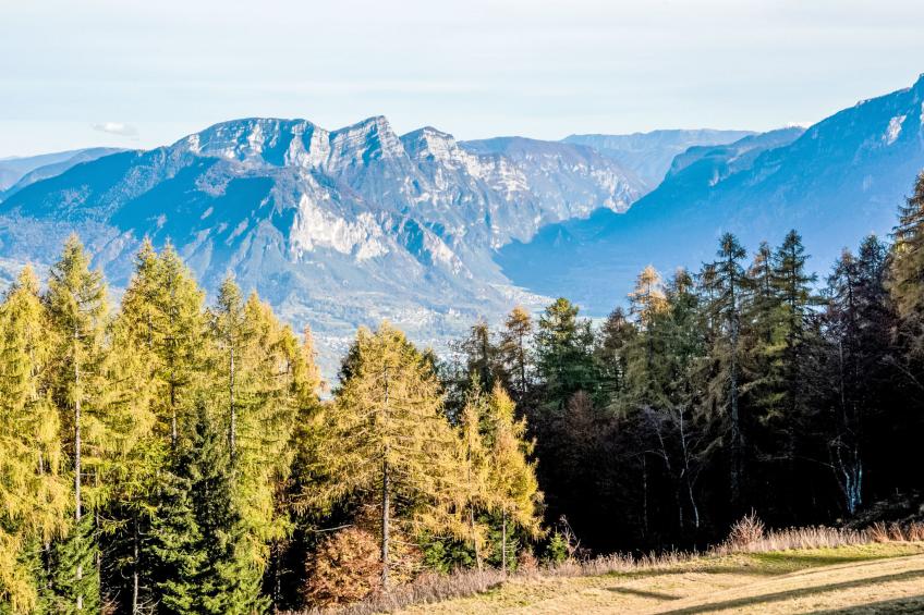 Baita al Compo - foto 9