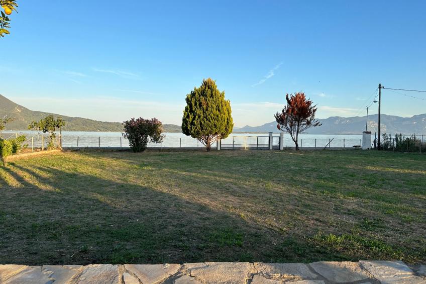 Tanjas Paradise - foto 13