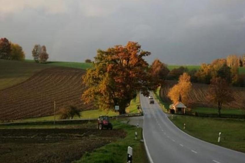 Fewo Altes Schulhaus - foto 27