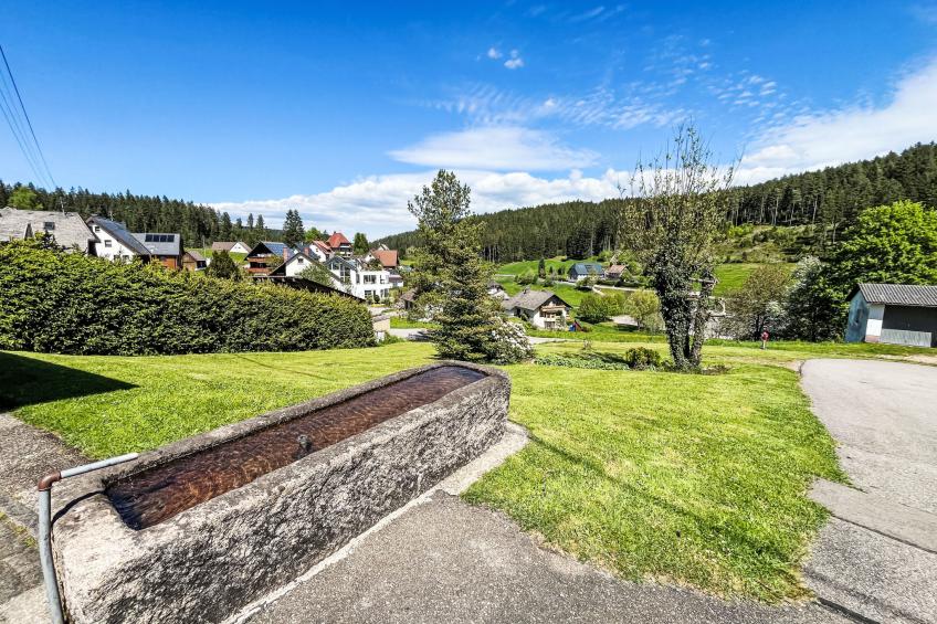 Fewo Knöpfle - foto 53