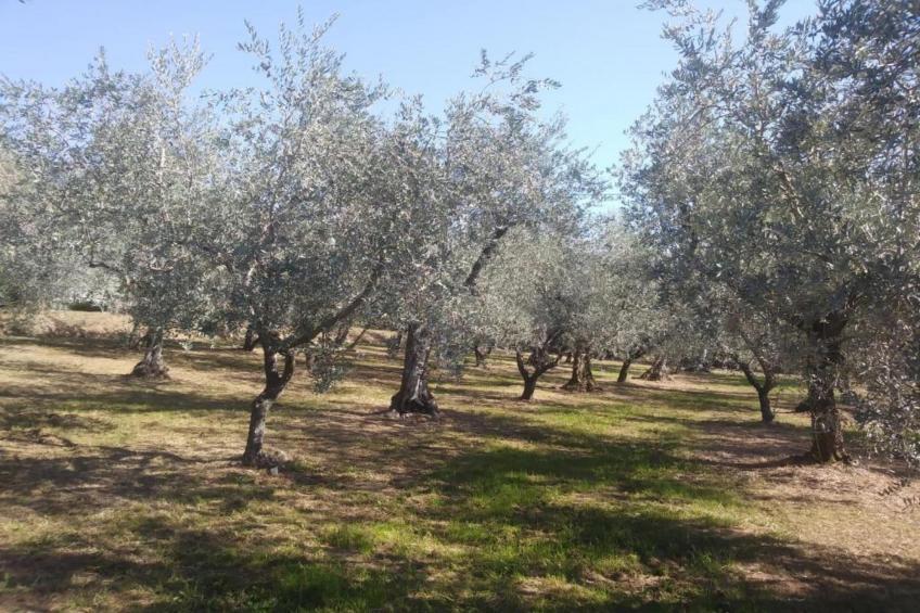 Casa Massimo - foto 39