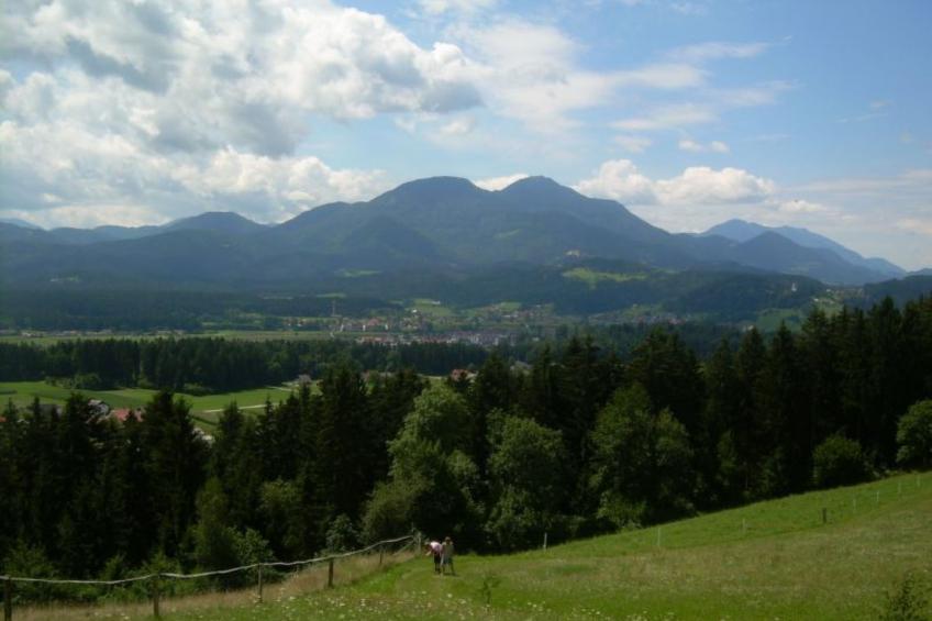 Wohnung Rozika - foto 7