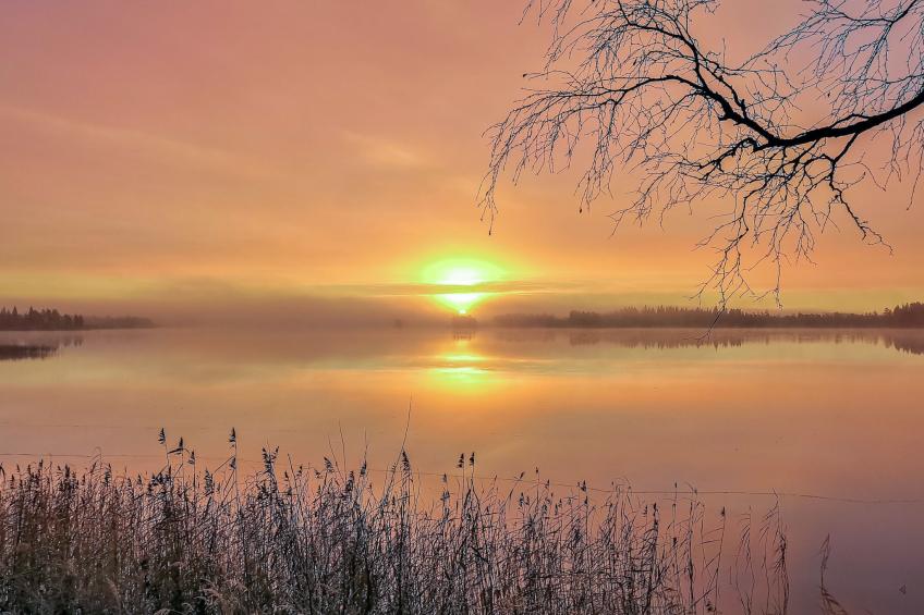 Lystikämän tupa - foto 29