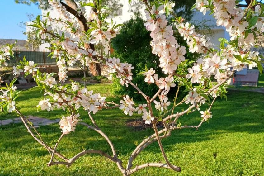 Villa Alma Wohnung in Villa - foto 19